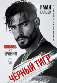 Чёрный Тигр. Любовь без правил — Иман Кальби