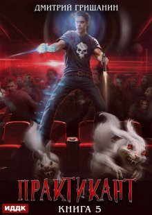Практикант. Книга 5 — ИДДК