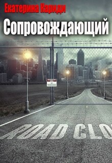 Сопровождающий — Екатерина Кариди