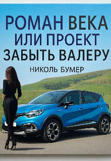 Роман века или проект «Забыть Валеру» — Николь Бумер