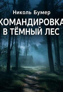 Командировка в темный лес — Николь Бумер