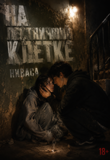 На лестничной клетке — Ниваса