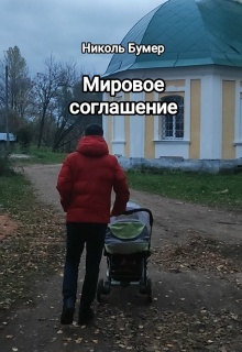 Мировое соглашение — Николь Бумер