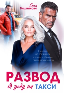 Развод. Я уеду на такси — Соня Вишнякова