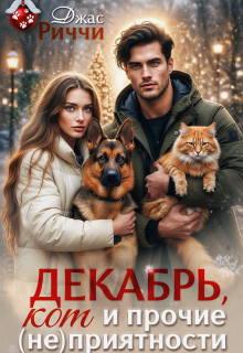 Декабрь, кот и прочие (не)приятности — Джас Риччи