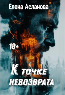 К точке невозврата — Елена Асланова