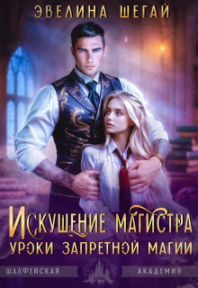 Искушение магистра. Уроки запретной магии — Эвелина Шегай