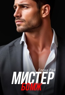 Мистер Бомж — Елена Рай