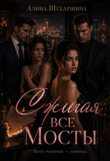 Сжигая все мосты — Алина Шебаршина