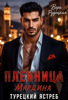 Пленница Мардина. Турецкий Ястреб — Вера Рудецкая
