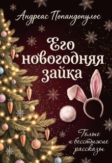 Его новогодняя зайка — Андреас Попандопулос