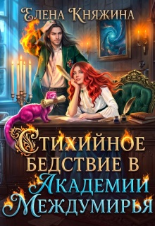 Стихийное бедствие в Академии Междумирья — Елена Княжина